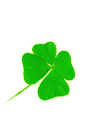 ����/��� �
